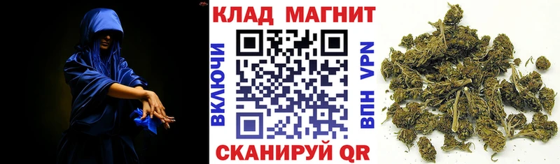 Купить наркоту Снежногорск Cocaine  АМФЕТАМИН  ГАШ  Псилоцибиновые грибы  МЕФ 