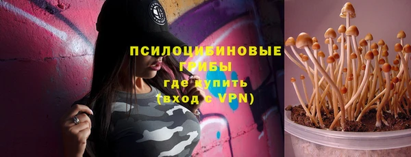 сатива Баксан