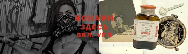сатива Баксан
