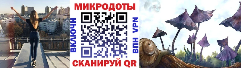 Галлюциногенные грибы GOLDEN TEACHER  купить наркотики сайты  Снежногорск 